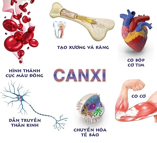 13 triệu chứng thiếu canxi ở phụ nữ dễ nhận biết